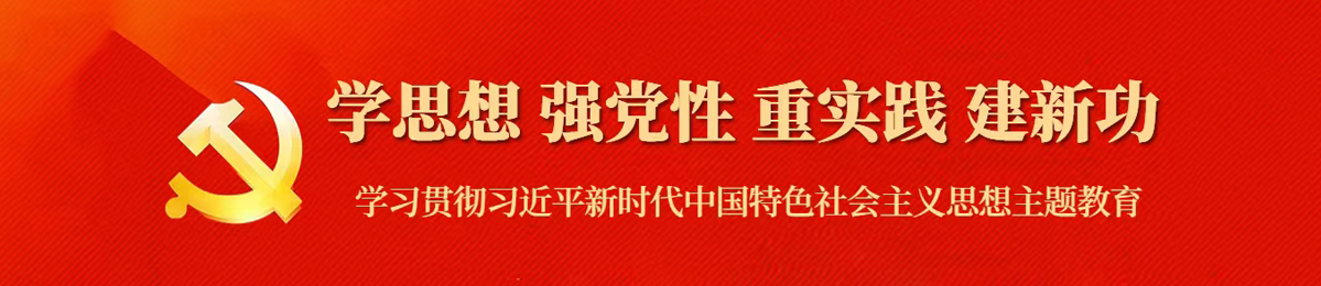 扎实开展学习贯彻习近平新时代中国特色社会主义思想主题教育